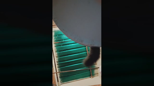 Luci_stream  03-06-2022